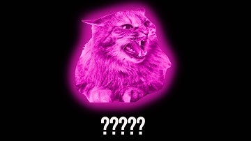 15 Angry Cat Sound Variations in 40 Seconds | MODIFY EVERYTHING