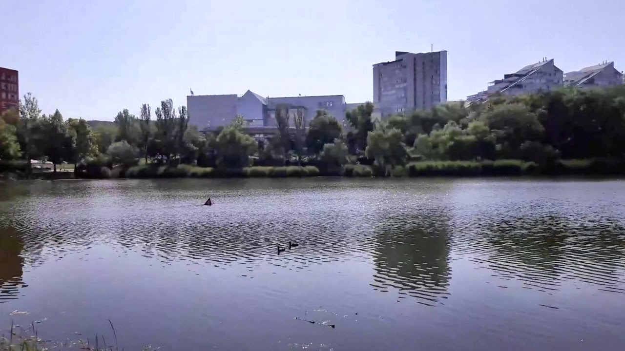 Бмв центр кишинев