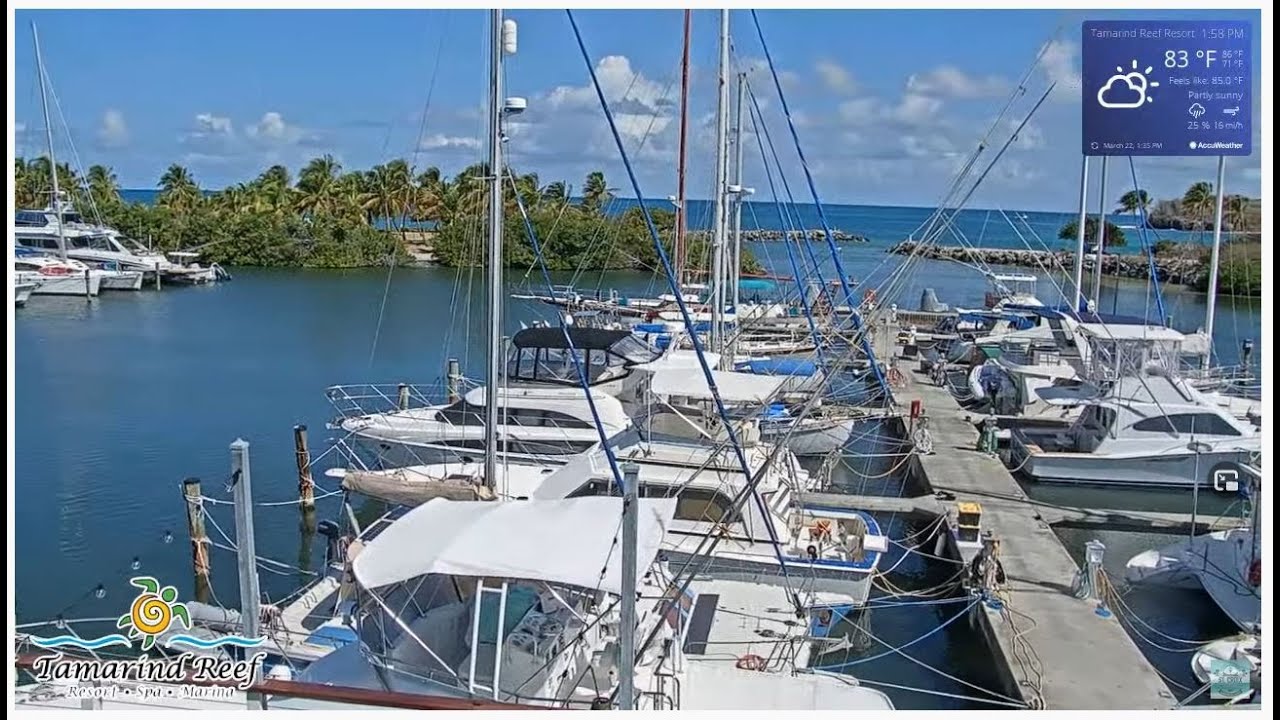 Green Cay Marina at Tamarind Reef Resort, St. Croix, USVI