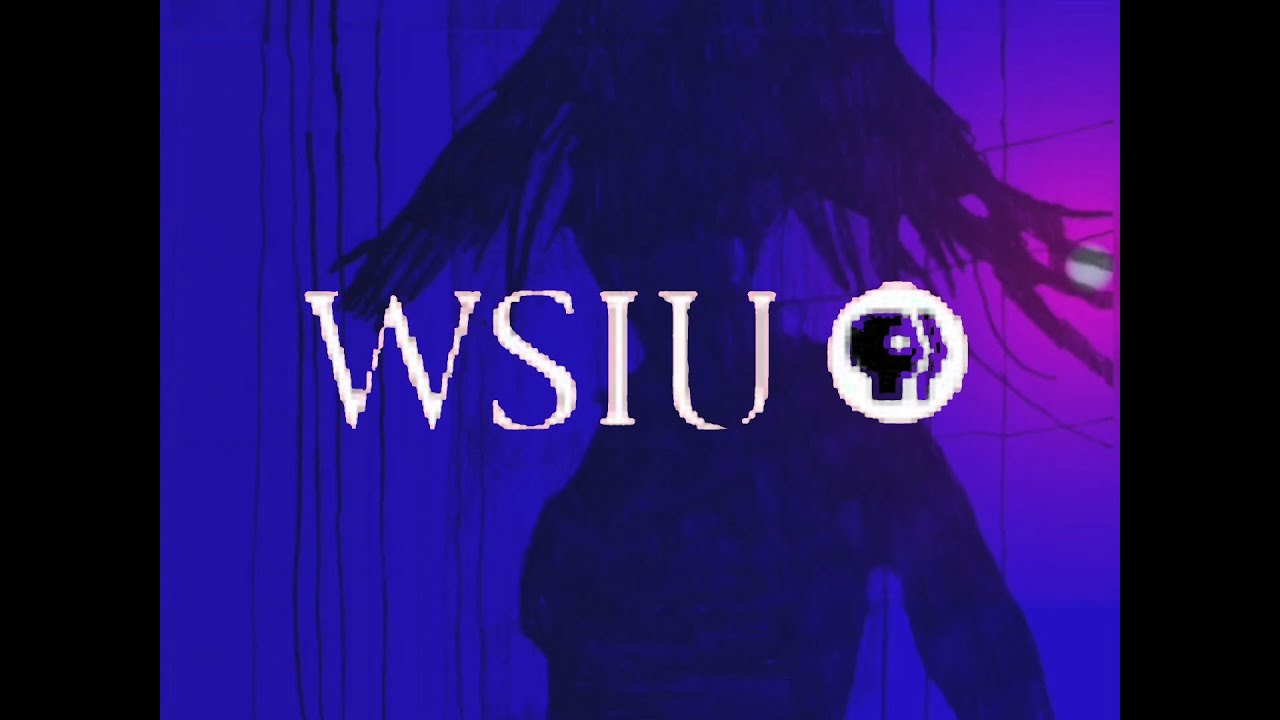 PBS Station Identification (2003-2004; 2005-2006 WSIU-TV) - YouTube