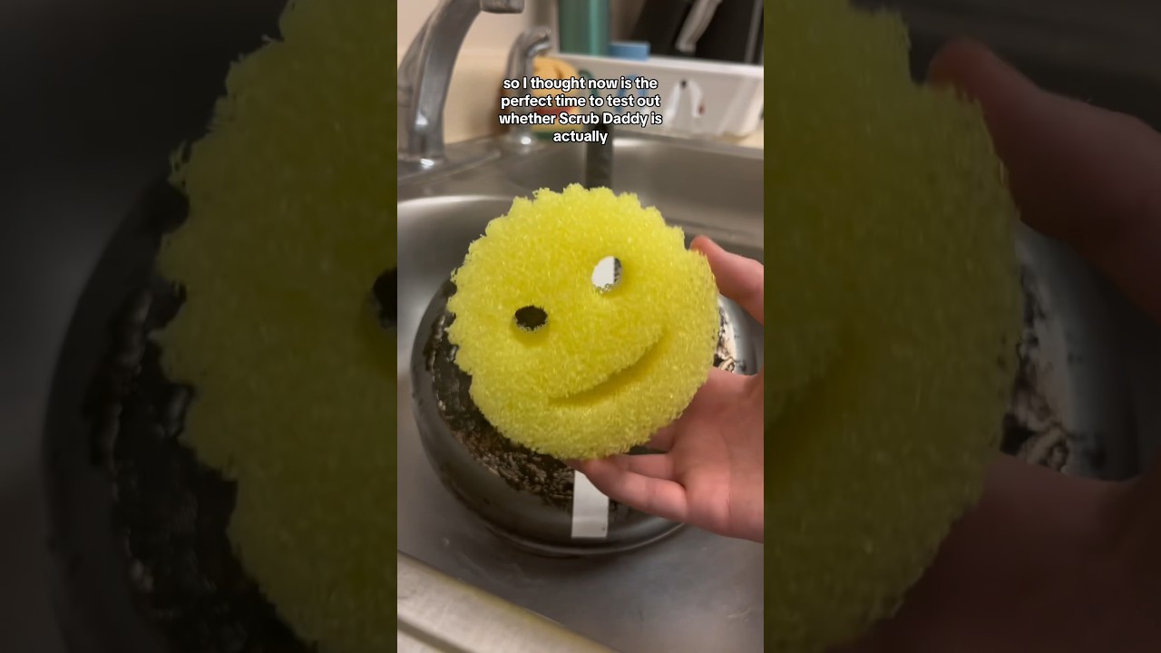 Scrub Daddy vs Normal Sponges – CleanHQ