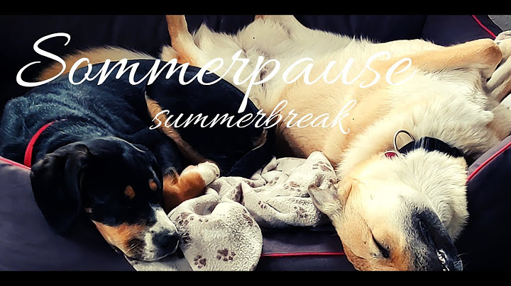 Sommerpause [summerbreak]