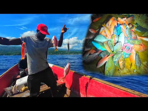Deep Sea Fishing Pulling Up  Giants From The Deep