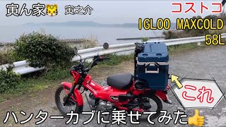 コストコで、買ったクーラーボックス。ハンターカブに乗せてみたらなんとピッタリ
