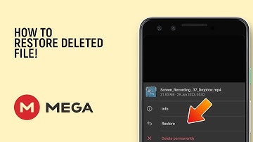 How to Restore a Deleted File in Mega App [EASY]