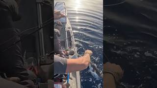 ΛΑΓΟΚΕΦΑΛΟΣ ΤΕΡΑΣ😱😱 #ψάρεμα #fishing #fish #kayakfishing