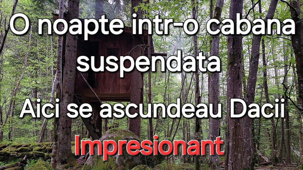 Izolat într-o cabana suspendata in copaci / Animalele sălbatice dau tarcoale / incredibil