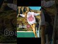 I LOVE PPP SM @pinkpalmpuff #viral #shorts #outfit