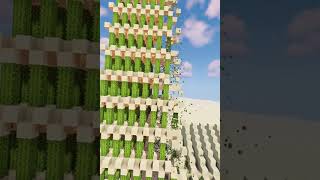 Minecraft cactus domino/chain reaction!