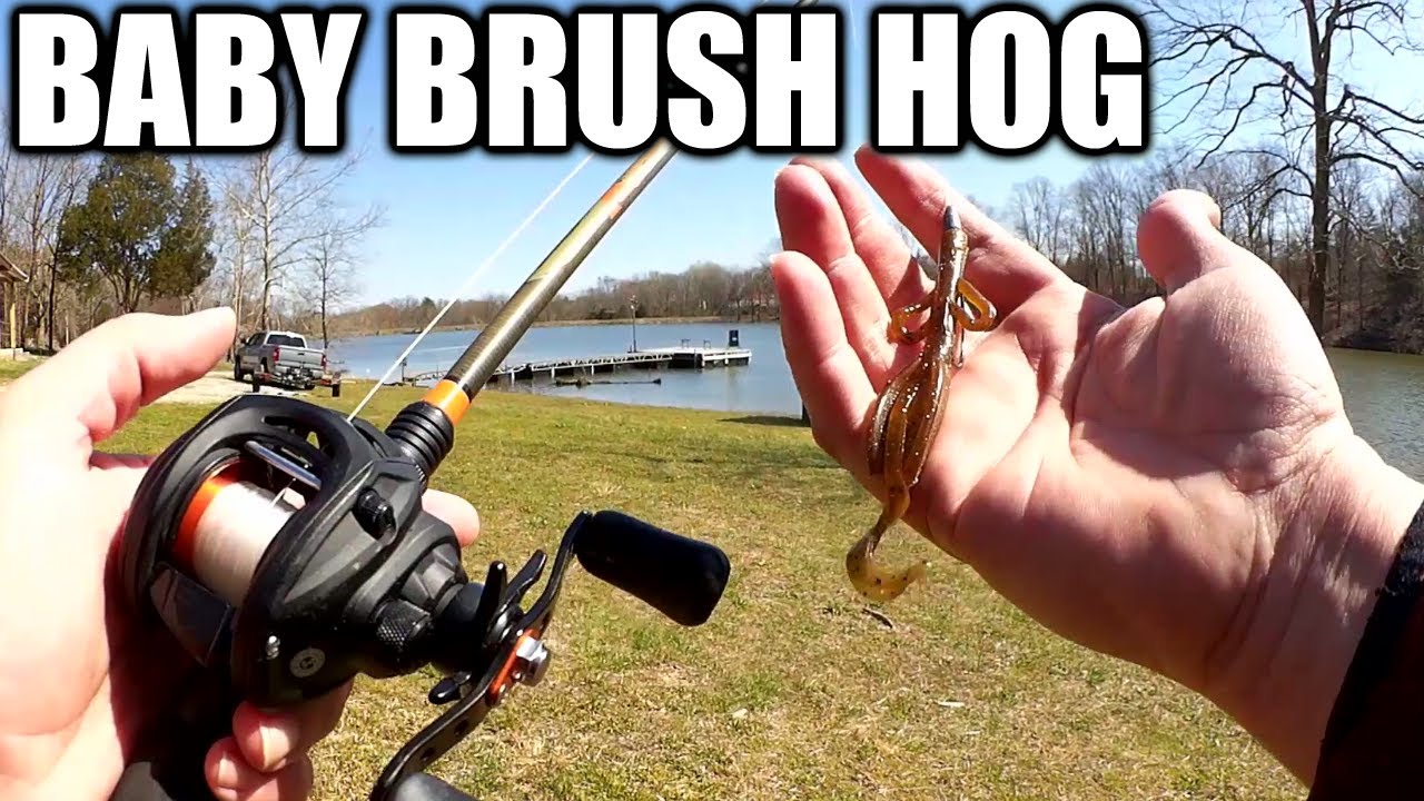 I Love the Baby Brush Hog for Spring Bass Fishing! Texas Rig