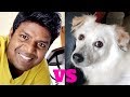 Owning a dog  things i learnt   vlog 014   ajay arjun