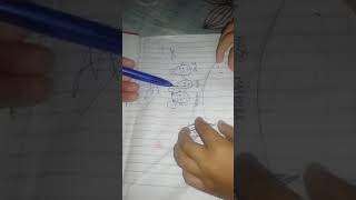 Belajar menggunakan bahasa ibunda (dusun)