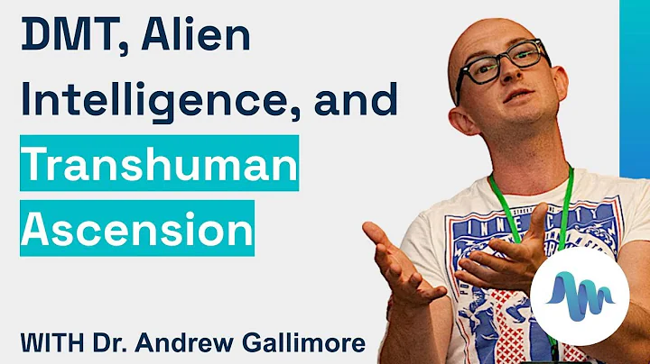 Dr. Andrew Gallimore - DMT, Alien Intelligence, an...