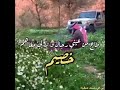 قصيدة بعنوان المواقف للشاعر بندر المانعي الدليمي