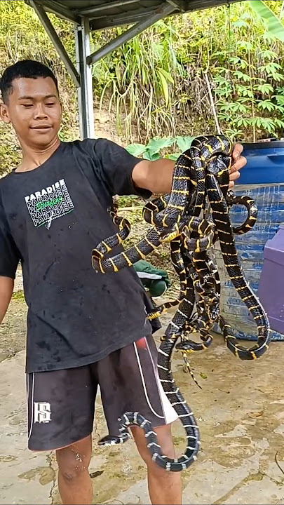 IIIHH TAKUUUT 🪱🪱😫😭🤣🥰‼️