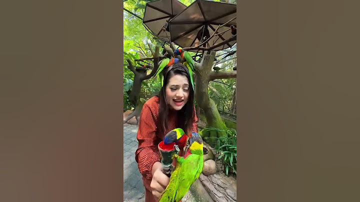 রিতুর বান্ধবীরা চলে আসছে 🦜Malaysia Parrot 😍 #short