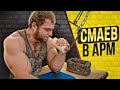 СМАЕВ в АРМ / Маланичев о Смаеве / Тагиев vs Ларри Уилс