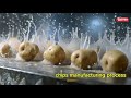 chips factory process. এইভাবেই তৈরি হয় চিপস! 😲 আলু থেকে প্যাকেট পর্যন্ত পুরো ফ্যাক্টরি প্রসেস