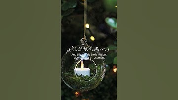 كروما شاشه سوداء قرآن كريم 🌿تلاوة من سورة العنكبوت 🌿القارئ ياسر الدوسري 🌲