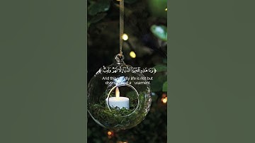 كروما شاشه سوداء قرآن كريم 🌿تلاوة من سورة العنكبوت 🌿القارئ ياسر الدوسري 🌲@newsalwadi