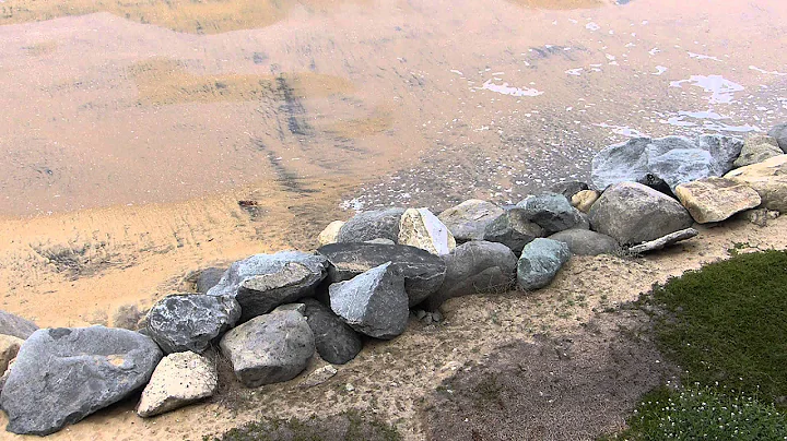 beach flood bubbles