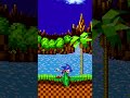 If Sonic The Hedgehog Was Realistic 