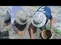 Mud Crab Catching New Video 2019!Two Mans Find A lot Of Crab On Holy Land On Dry Season