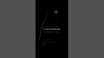 هذا وَإِنَّ لِلطّاغينَ لَشَرَّ مَآبٍ | محمد صديق المنشاوي | سورة ص