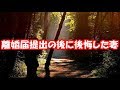 【修羅場】妻の浮気を密告された。嫁は俺の様子から観念したようで、自分から記入済の離婚届をよこした。なのに「昨夜の私はどうかしてました。反省してます。許してください」と。なんでだよw