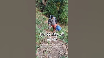 câu cá ục đá đâp xả tràn trị an #shortvideo #caucathugian #câucá #fishing