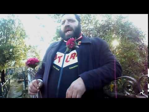 სერგია - ძუძუები....