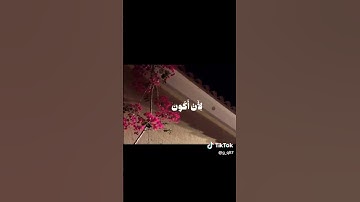 (سوره الزمر). الشيخ ماهر المعيقلي #اناشيد_اسلاميه #مقاطع_دينية #دعاء#القران_الكريم