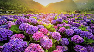 مع الطبيعة الساحرة🌷سورة البقرة بصوت فارس عباد بجودة عالية راحة نفسية😇 ارح سمعك للنوم انعزل عن العالم