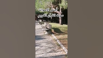 #قرآن #محمد_صديق_المنشاوي #قران_بصوت_جميل #سورة_فصلت #المنشاوي_الصوت_الباكى ♥️😍🌹