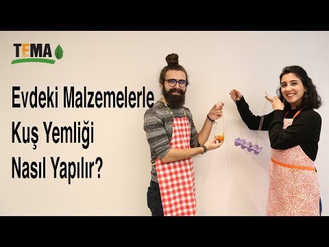 Video: Kuş Yemliği Nasıl Yapılır