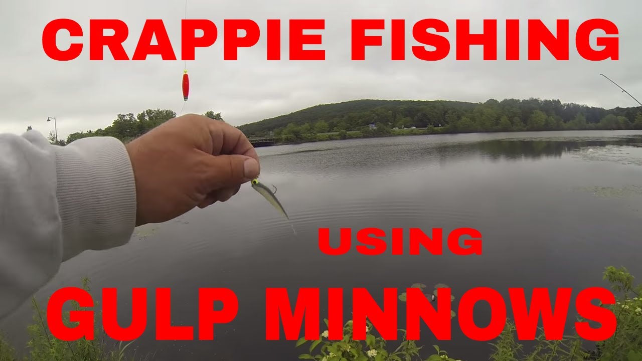 Fishing for Crappies from the side of road using Gulp Minnows 