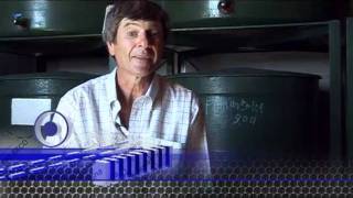 .Córdoba.ar - Anticipo Vino casero Aurelio de Colonia Caroya