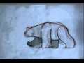 Bear walk cycle animation