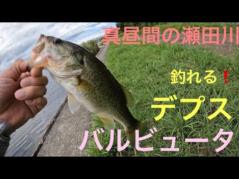 バス釣りまとめ つり具のブンブン川崎大師店情報✨ カワハギ用品、豊富に