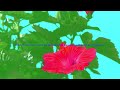 Dutch Nazari - Fiore d&#39;inverno (Lyrics video)