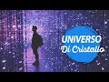 UN POSTO DA VISITARE ASSOLUTAMENTE // TeamLab World Seoul