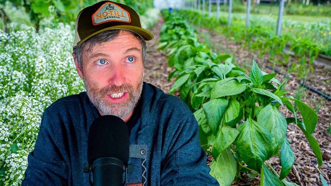 Improve Your Soil This Spring + Spring Cover Crops