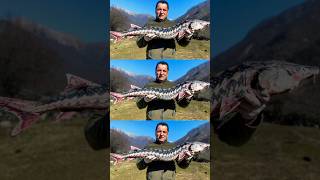 BOUGHT A STURGEON FOR 250$ AND FRIED IT ON THE ROCKS! #wilderness #cooking #recipe