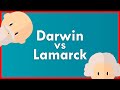 SIMILITUDES y DIFERENCIAS entre DARWIN y LAMARCK (en 3 minutos)