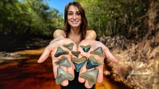 The MOST Megalodon Teeth We've EVER Found in a Day | Our Best Shark Tooth & Fossil Hunt of the Year!