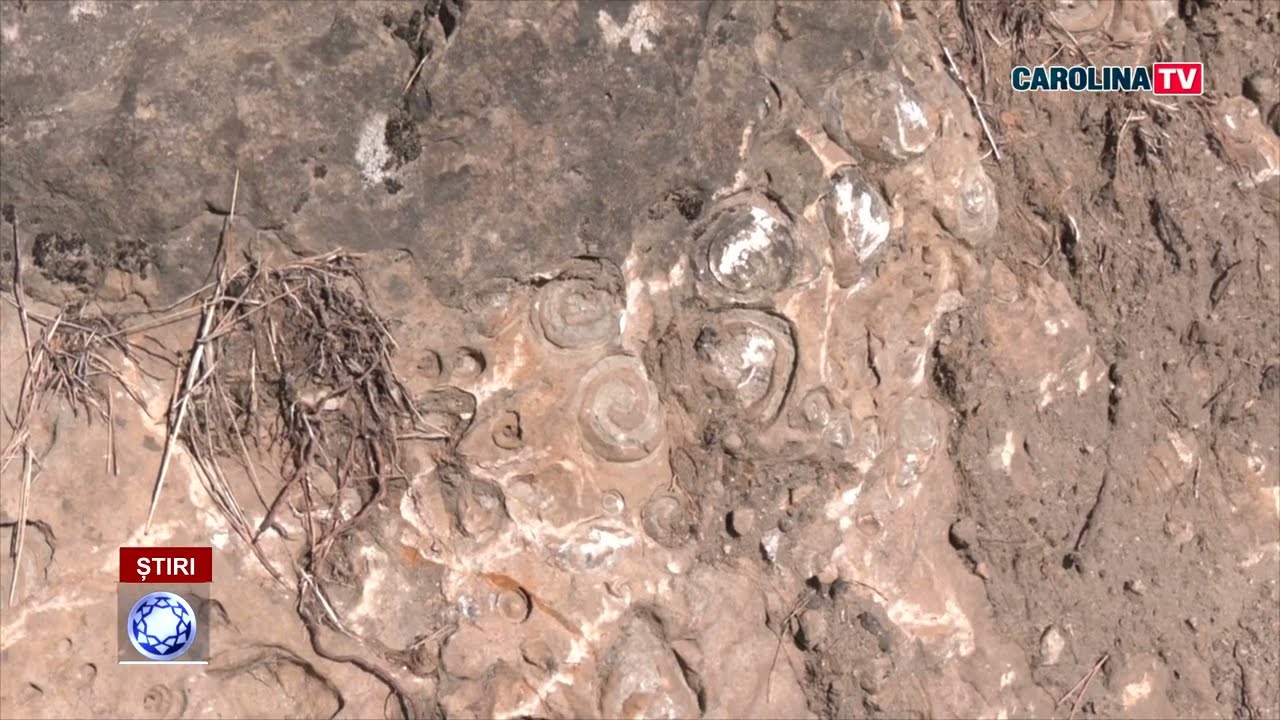 Cascada Pișoaia și Dealul cu melci, două obiective turistice din Apuseni