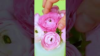 Use uma esponja floral para este arranjo fácil #arranjo #flores #decoração