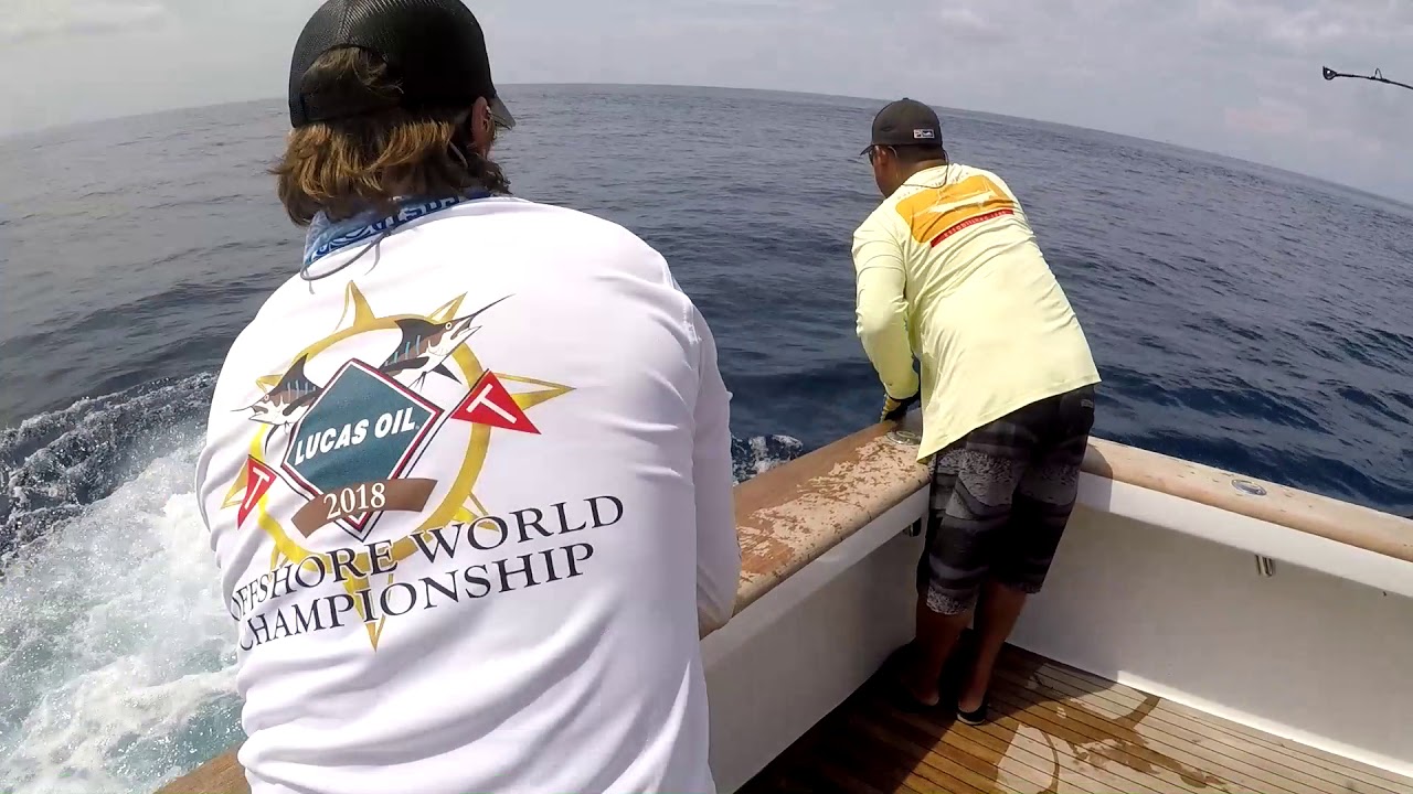 2018 Offshore World Championship | Mauritius Int'l Billfish Release Tournment | Pacific Sailfish