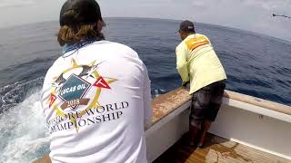 2018 Offshore World Championship | Mauritius Int'l Billfish Release Tournment | Pacific Sailfish screenshot 4