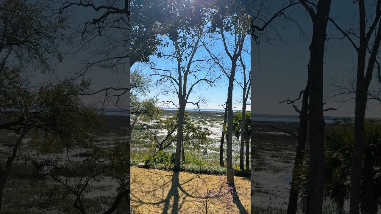 All I need✨———